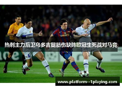 热刺主力后卫乌多吉腿筋伤缺阵欧冠生死战对马竞